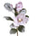 Set 4 Magnolien mit 3 Schneeblumen H76 cm Rosa