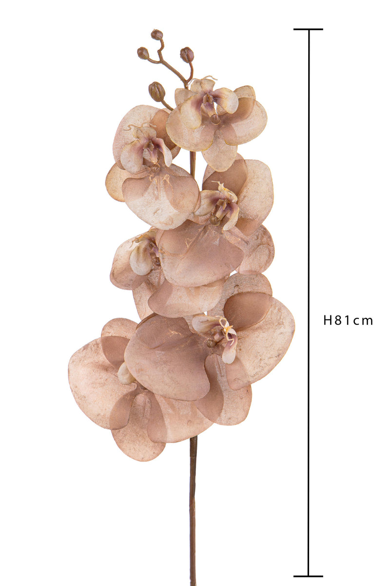 Set 6 Fiori Phalenopsis Br/Gold H81 cm Beige-2