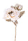 Set 6 Englische Rose mit Glitter H48cm Creme