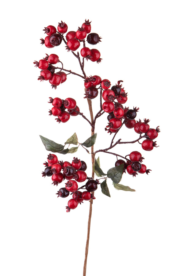 sconto Set 3 Wildrosenbeeren H80 cm Rot