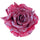 Set 24 Rose mit Clip.Ø15 cm Rot