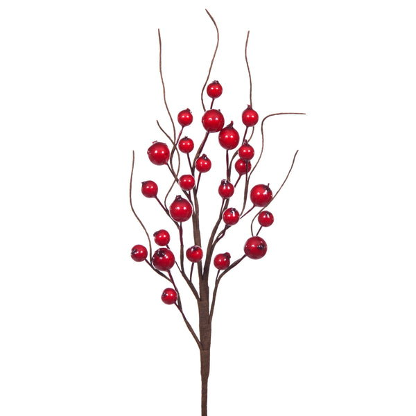 sconto Set mit 12 Pflückbeeren Ilex 32 cm Rot