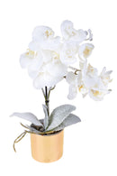 Set 2 Centrotavola con Orchiedea Ø9 cm Bianco-1