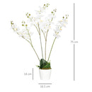 Pianta Artificiale Orchidea H75 cm con Vaso Bianco-3